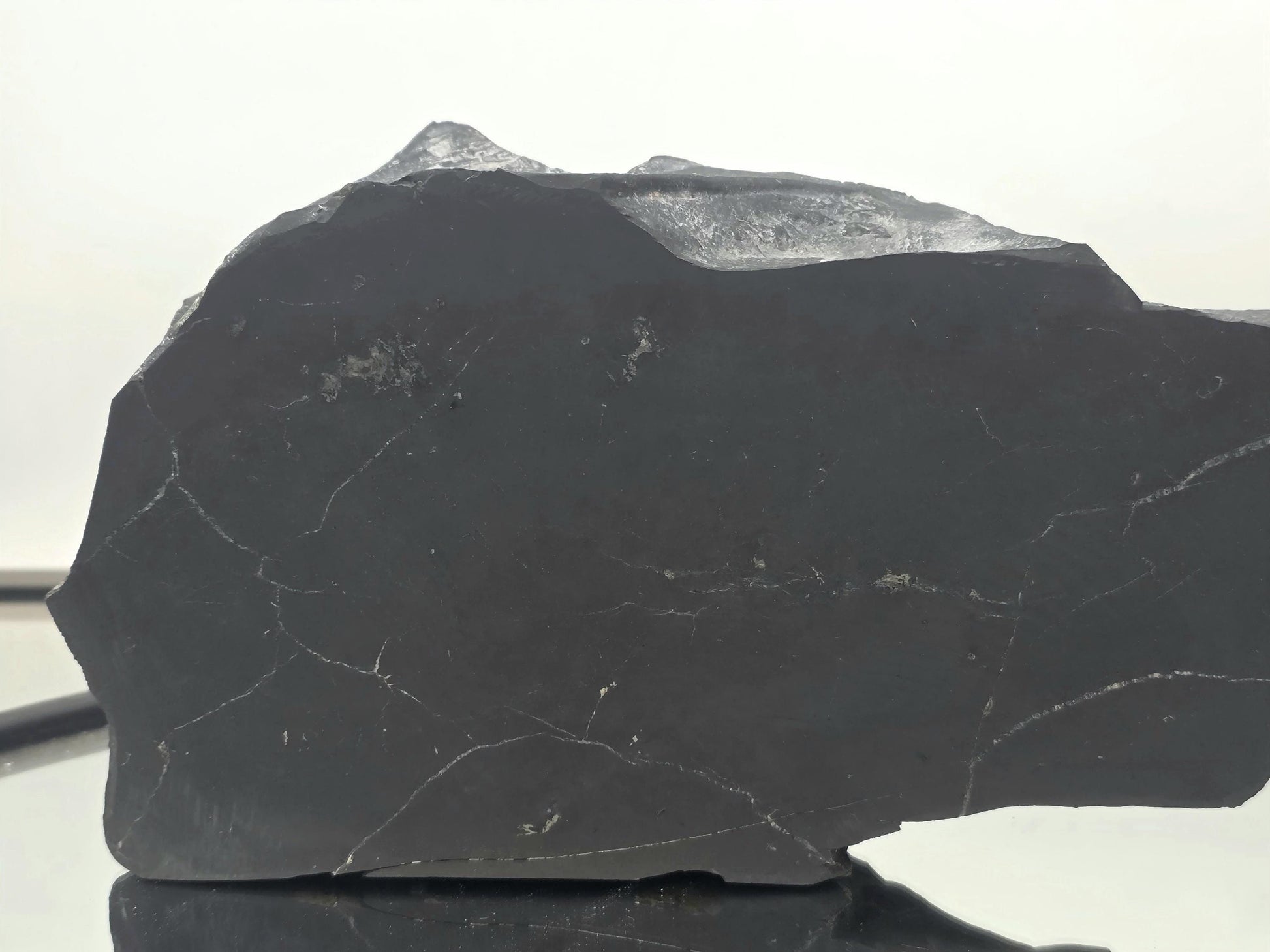 Striking combination of shungite and pyrite in a single specimen.