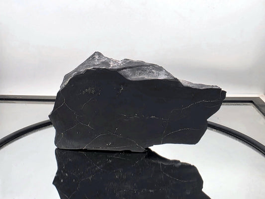 Raw shungite specimen with polished face and visible pyrite inclusions.