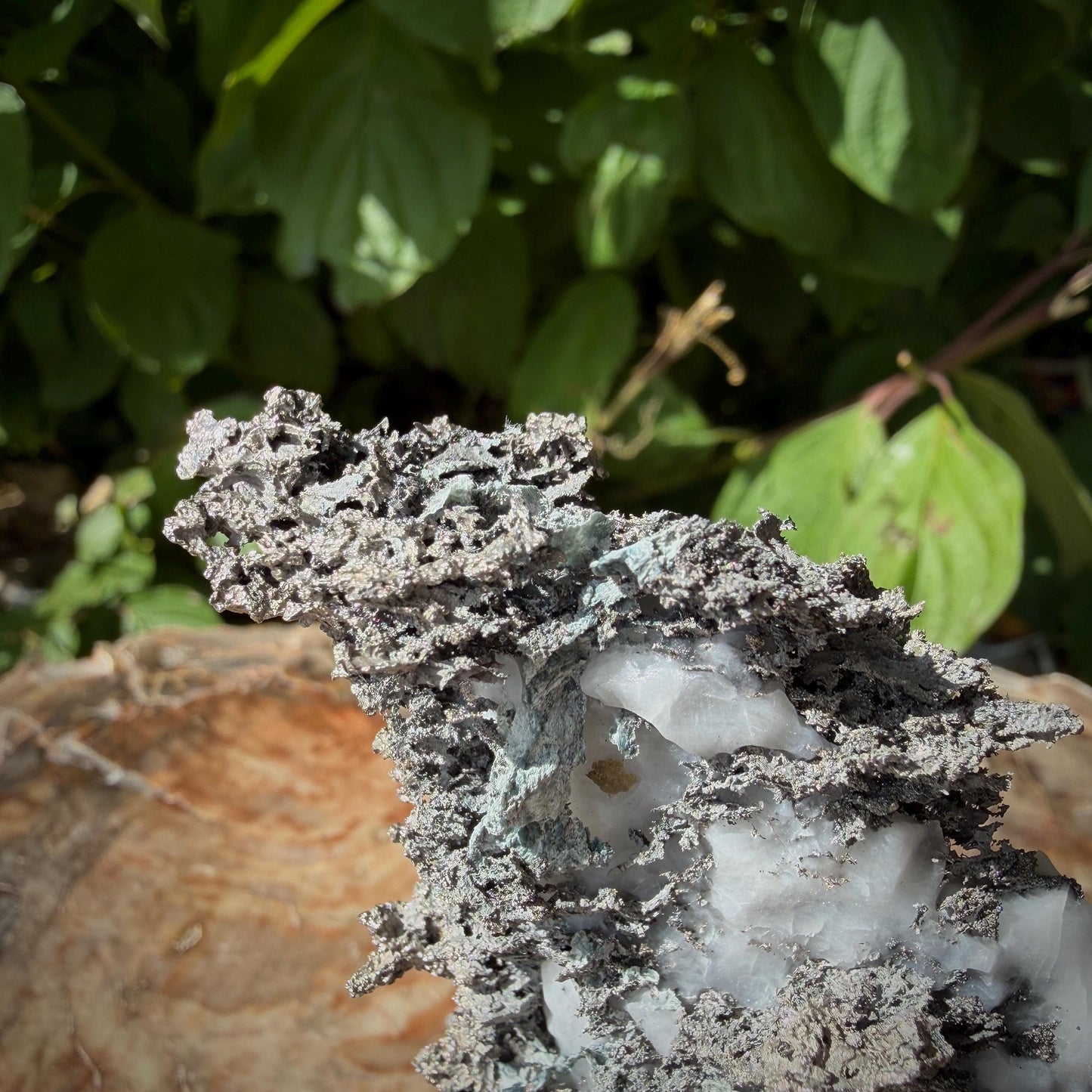 Silver mineral specimen showing natural crystalline growth