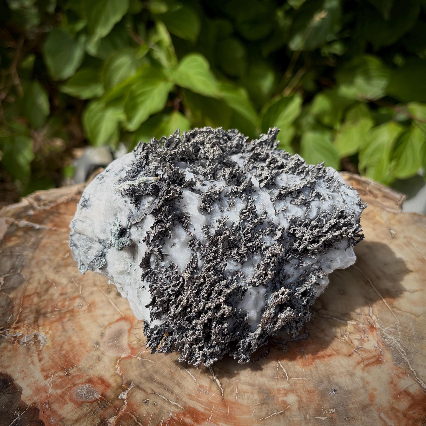 Natural silver formation contrasting against white Calcite matrix