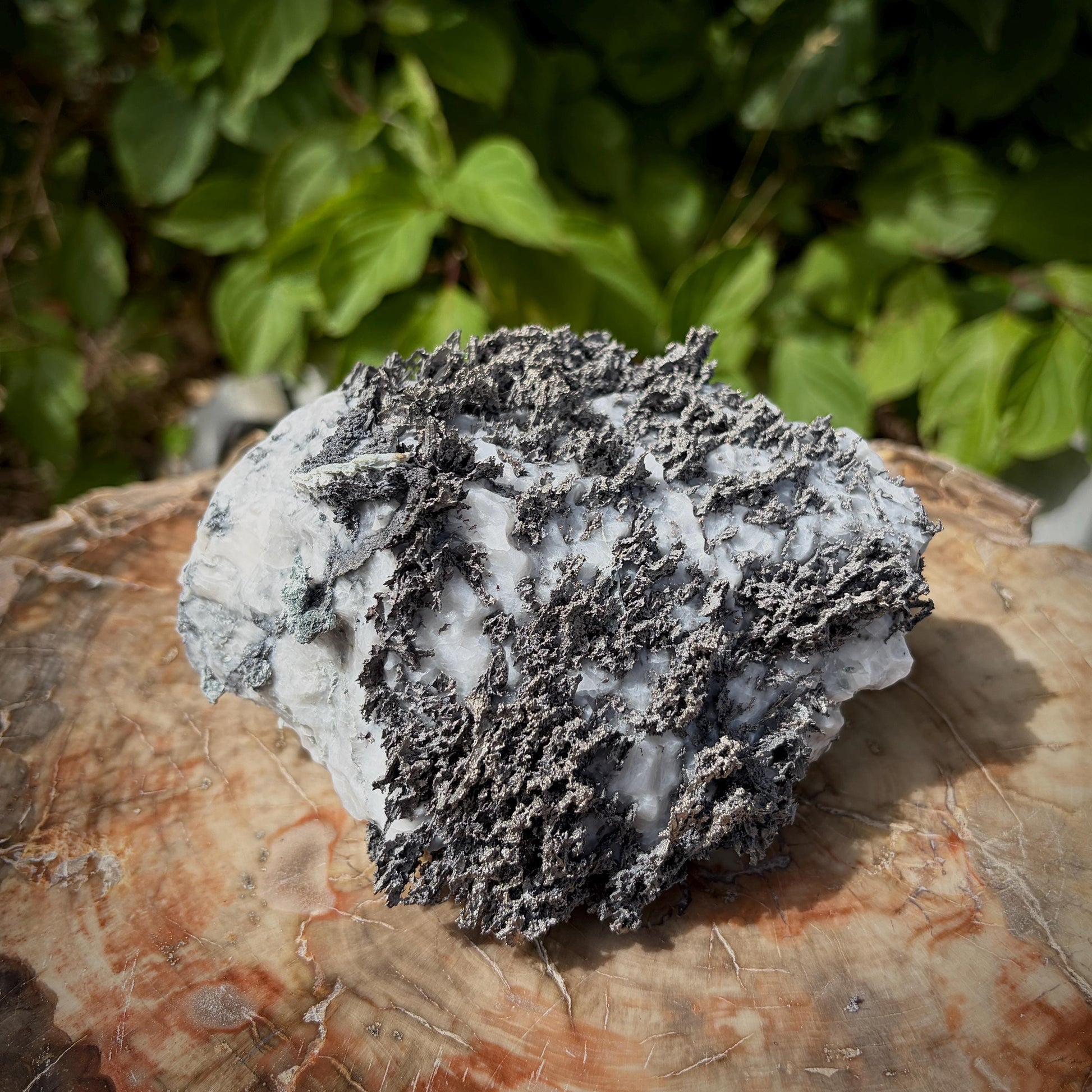 Natural silver formation contrasting against white Calcite matrix