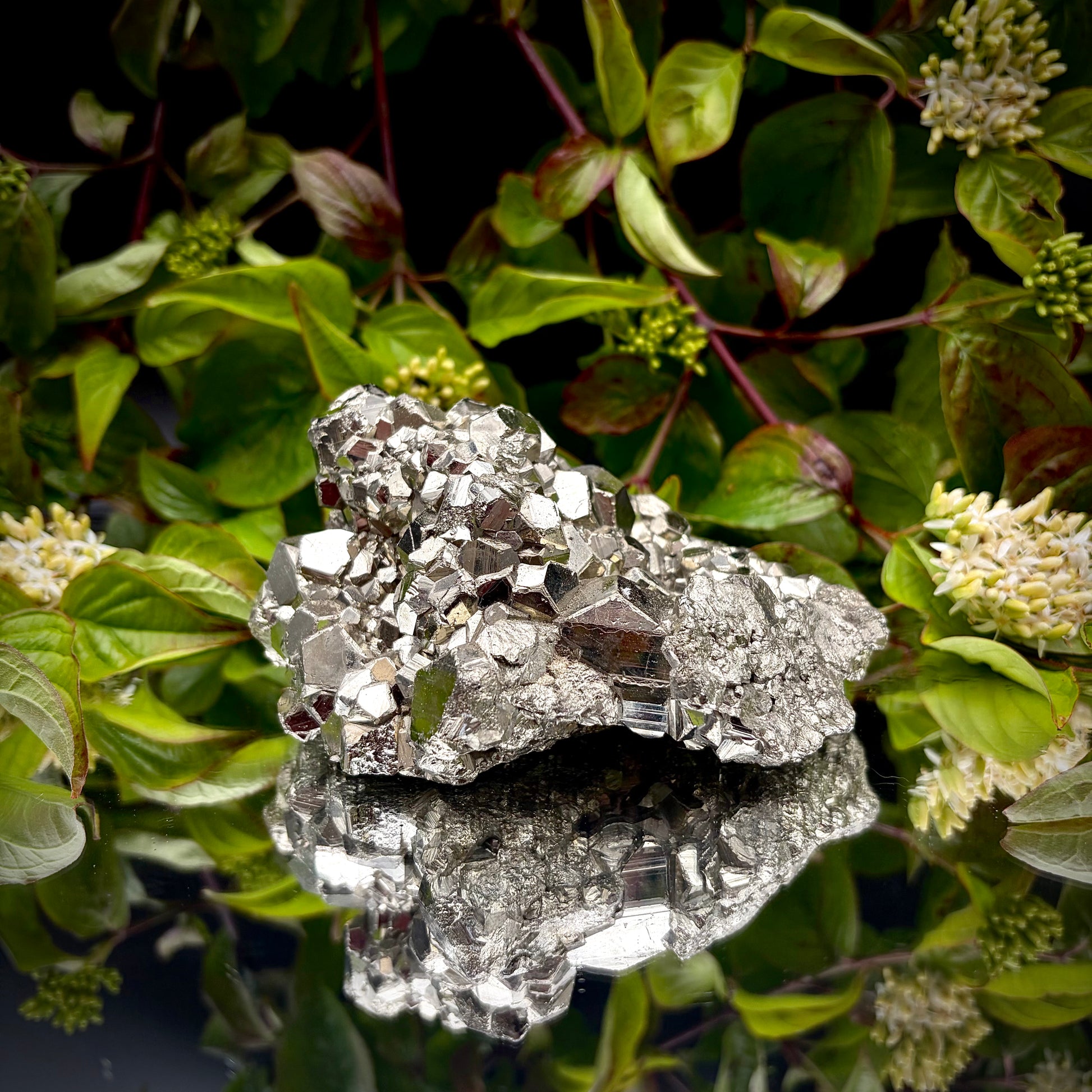 A heavy, high-lustre brass-gold Pyrite cluster displayed on a mirrored surface.
