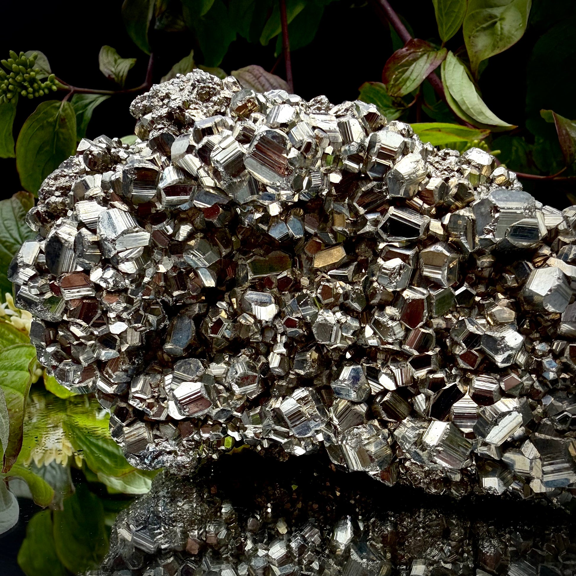 A heavy, high-lustre brass-gold Pyrite cluster displayed on a mirrored surface.