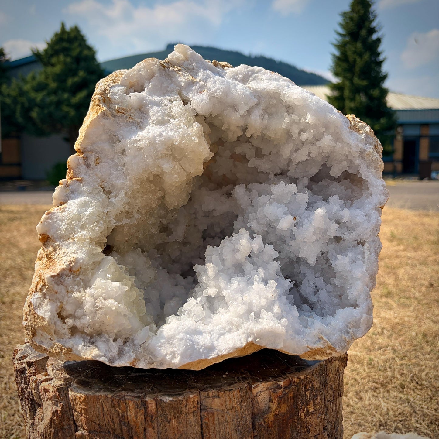 Sparkling quartz crystal points within a natural geode.