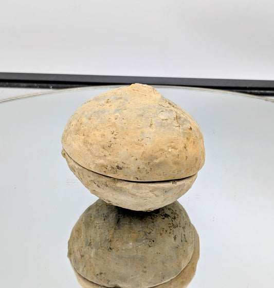 unique split Septarian Geode showcasing striking patterns.