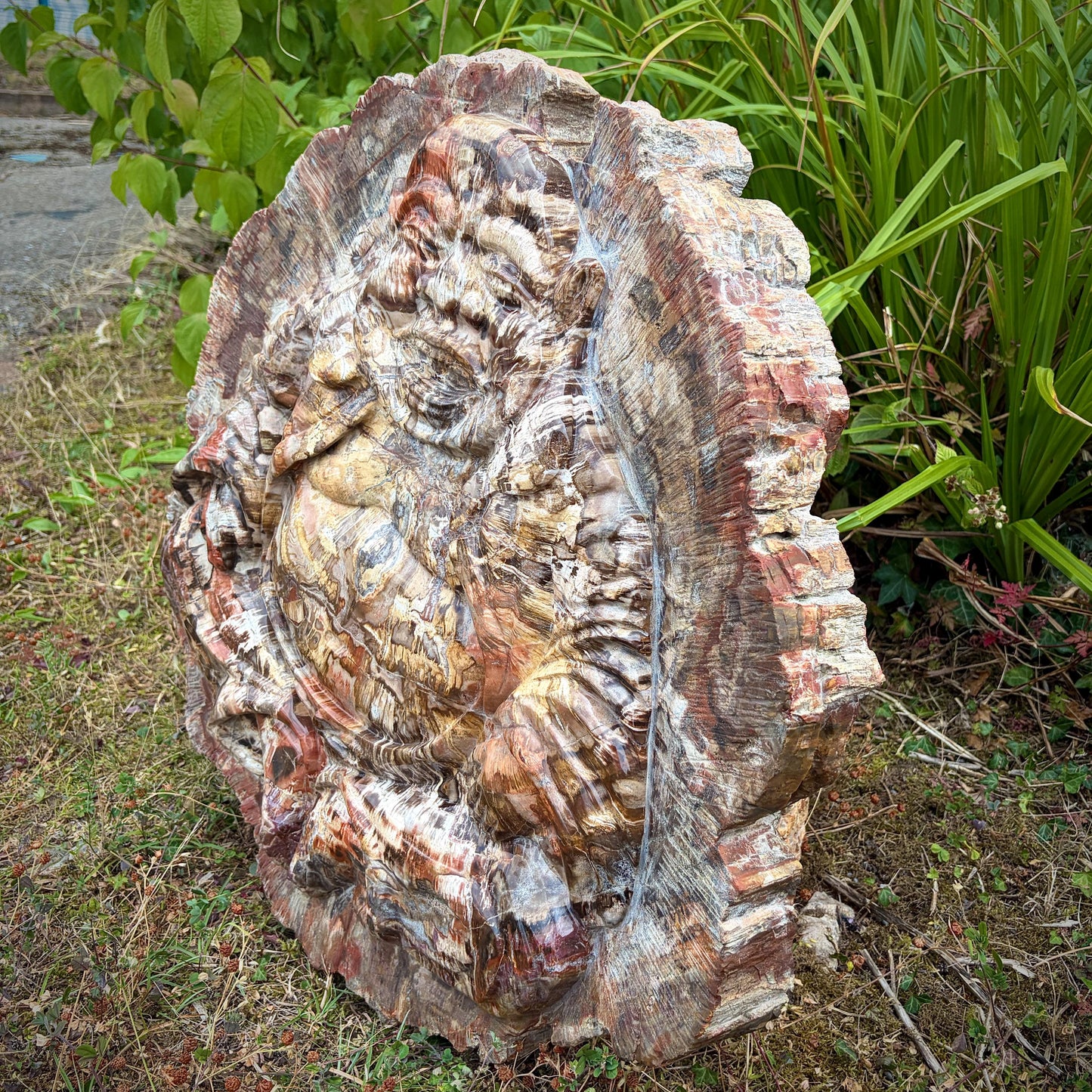 Premium fossil wood Buddha sculpture for interior décor
