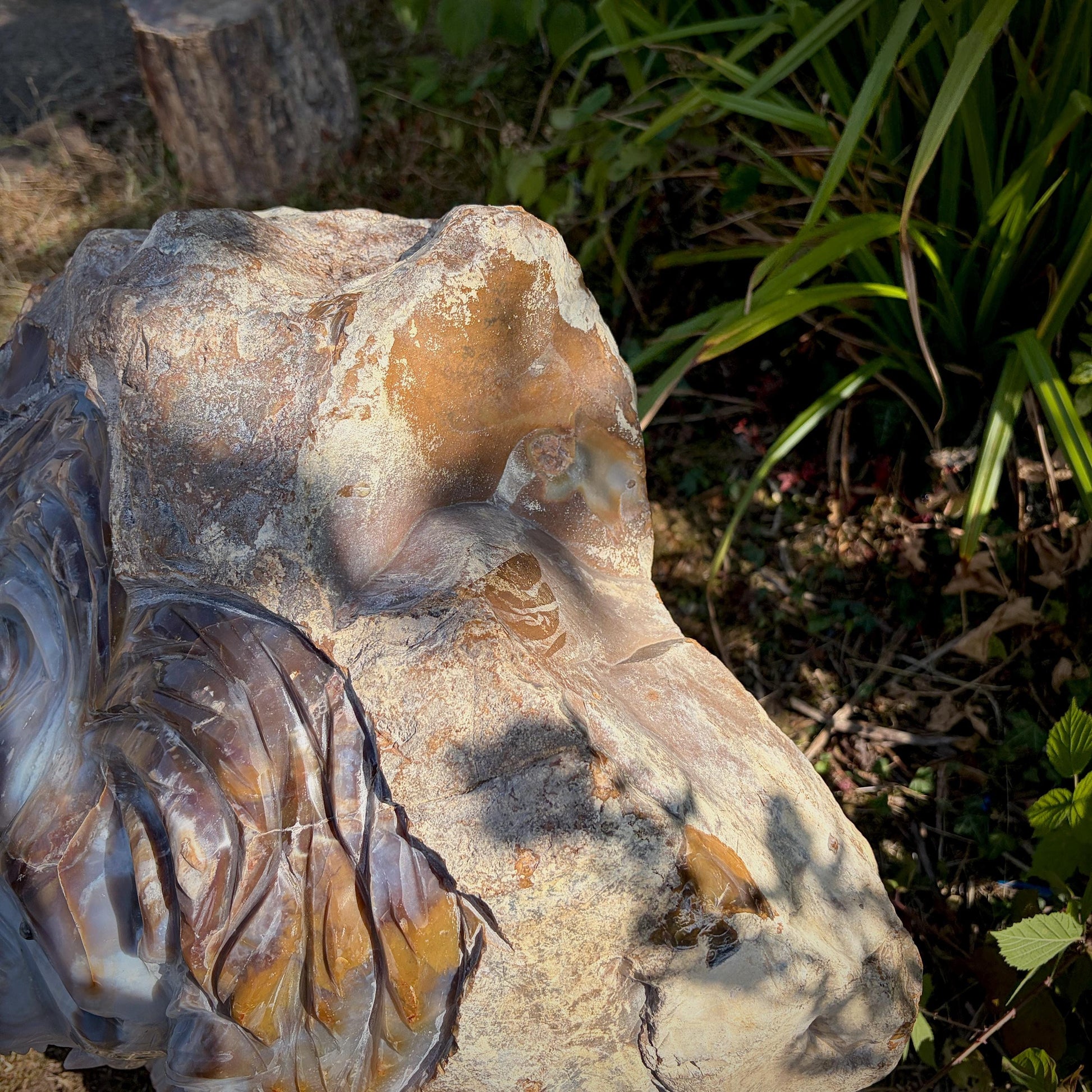Hand-polished Violet Agate lion highlighting the natural beauty of genuine agate.
