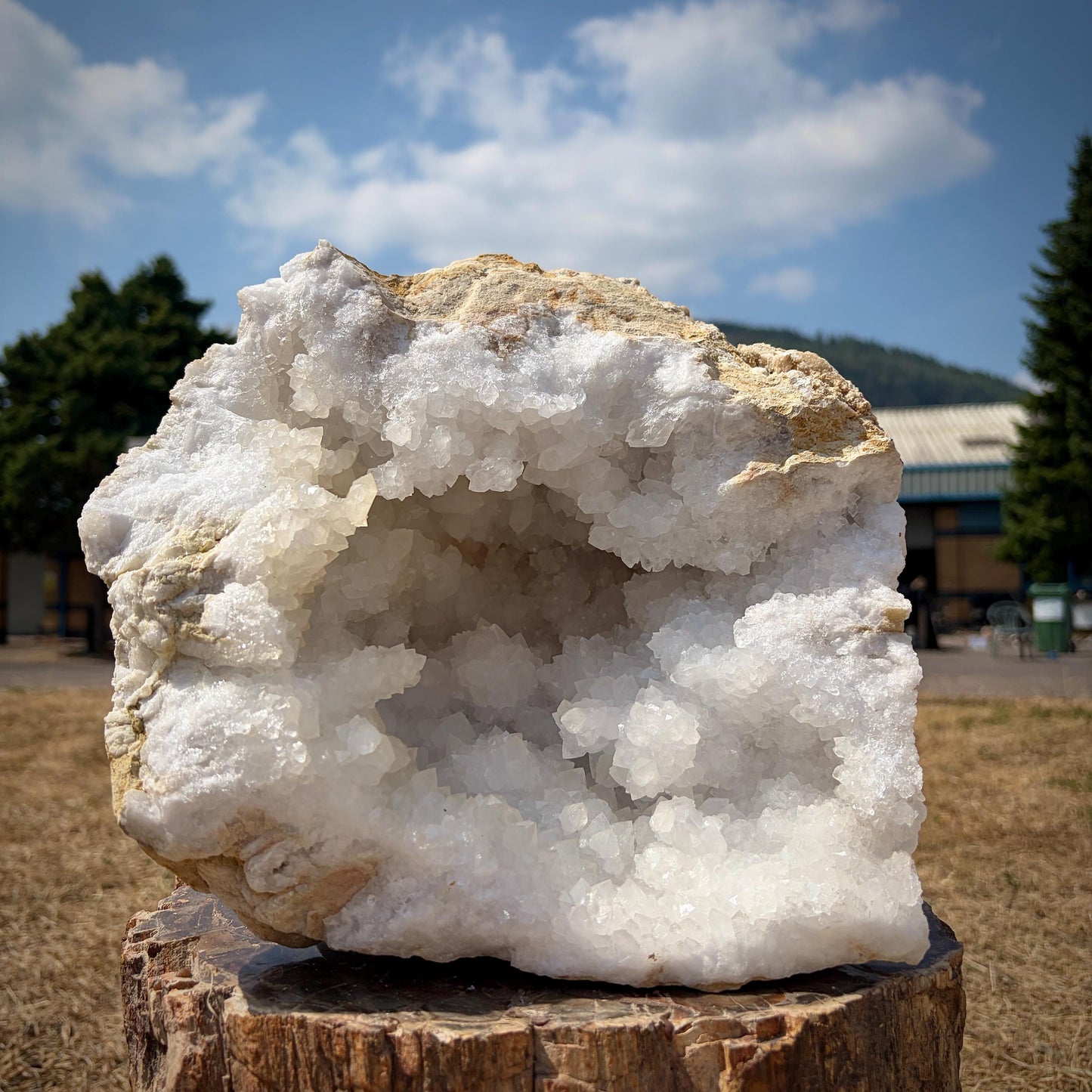 Statement quartz crystal geode pair displayed open to reveal sparkling interiors.