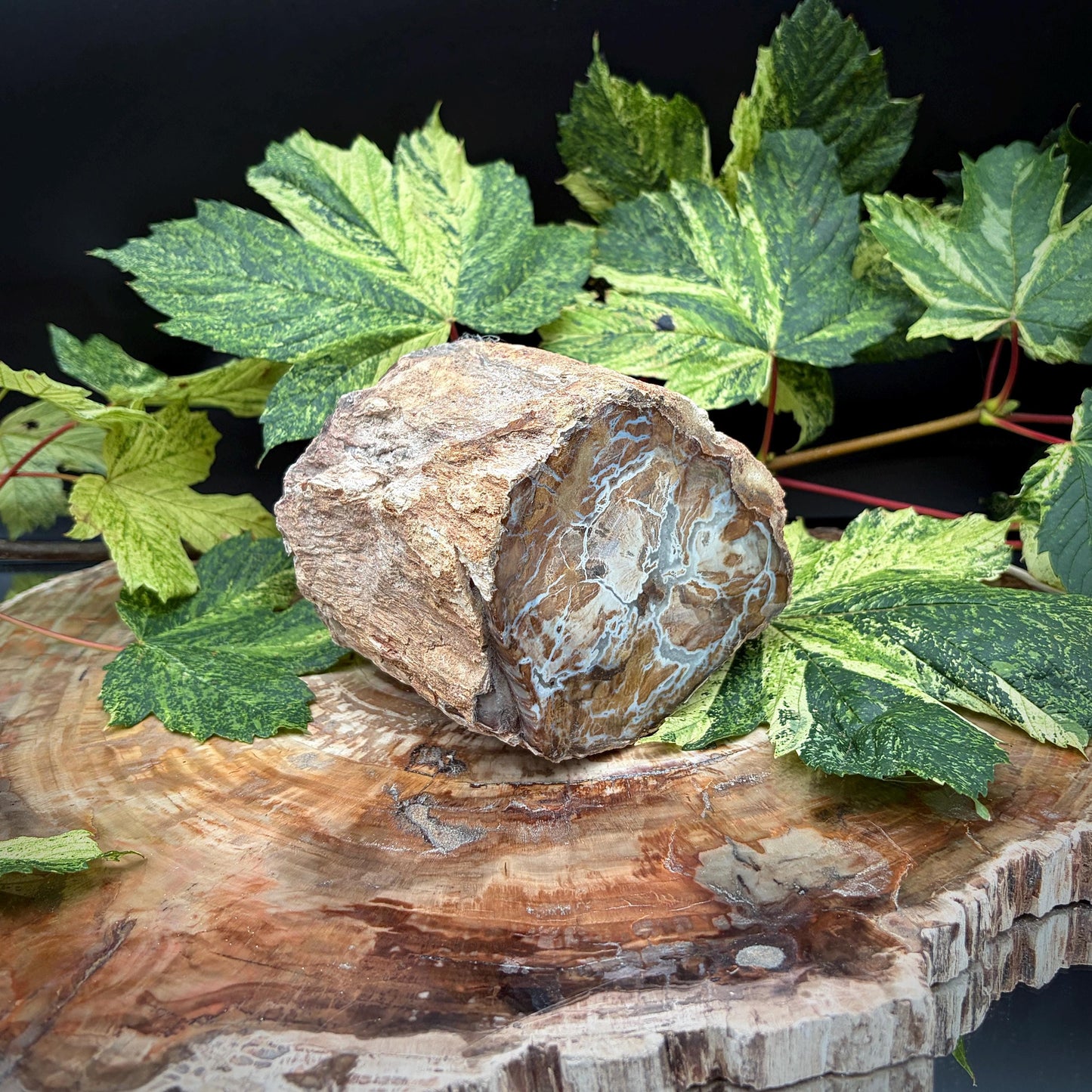 Natural stone tree stump sculptural display piece