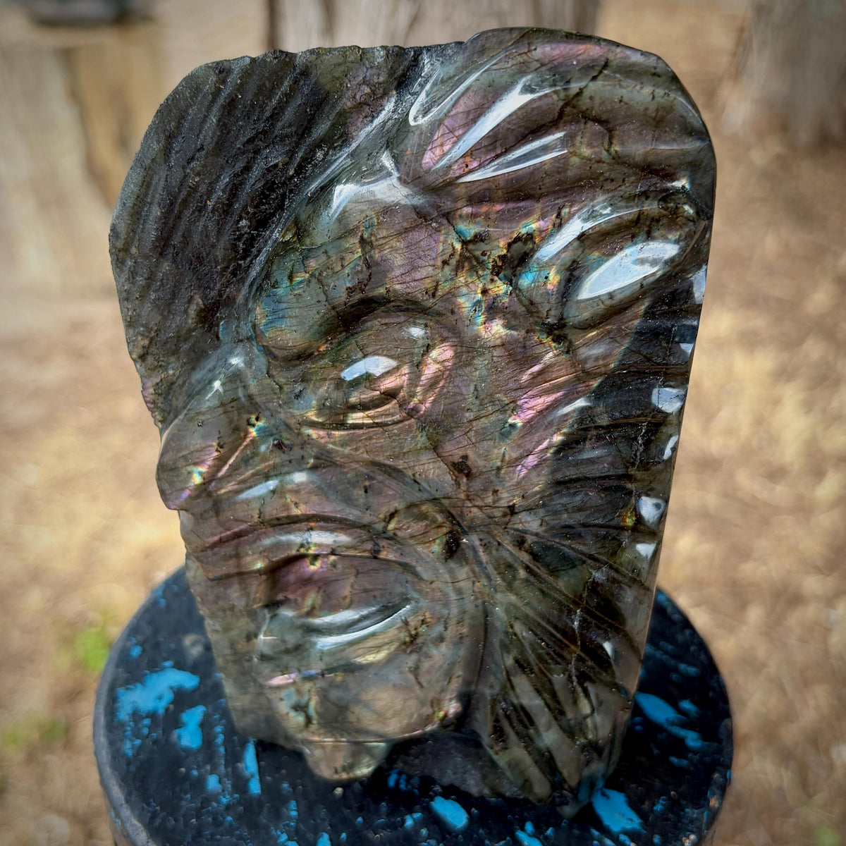 Labradorite lion displaying warm gold and sunset coloured flash