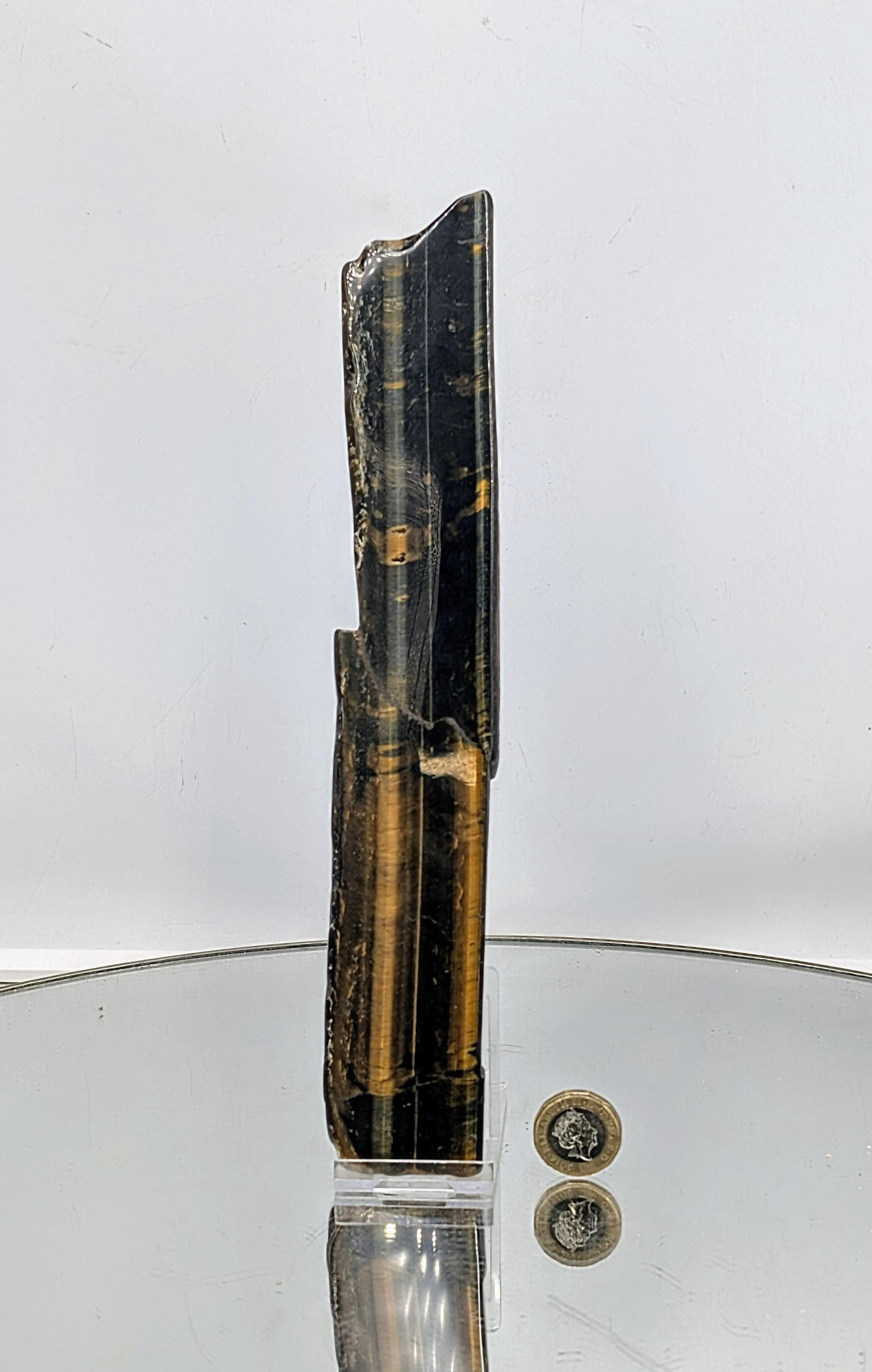 Large Tiger’s Eye crystal slice with golden-brown banding