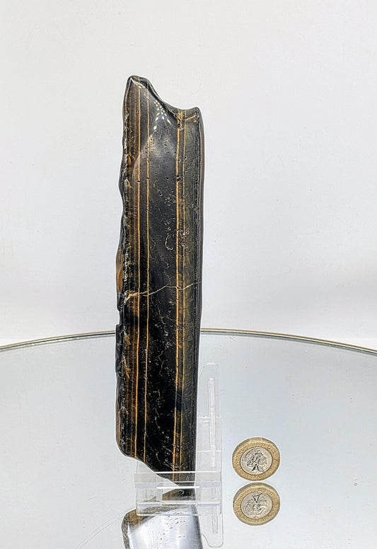 Decorative Tiger’s Eye slice with a glossy surface