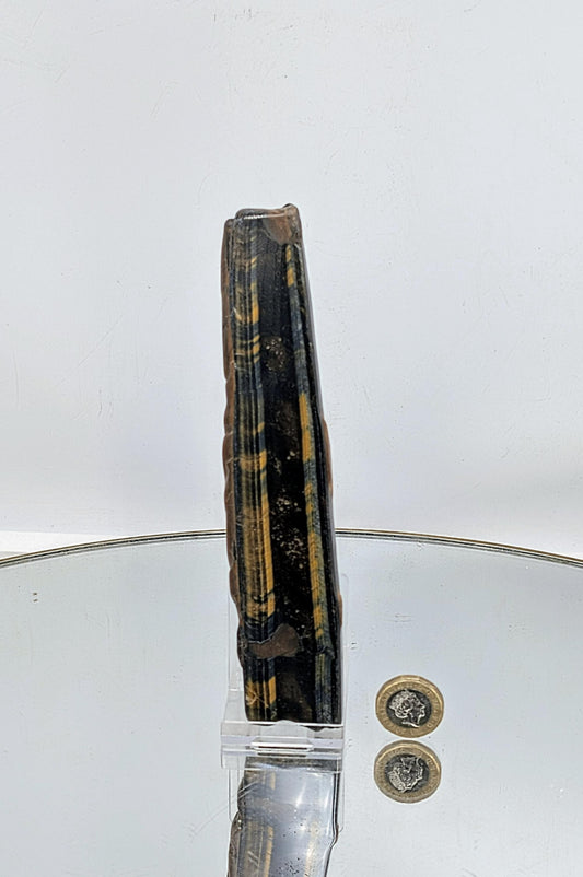 Large polished Tiger’s Eye slice with a glossy finish