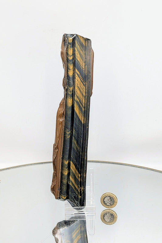 Polished Tiger’s Eye crystal slice with rich details
