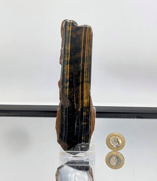 Polished Tiger’s Eye crystal layer with vibrant gold shimmer.