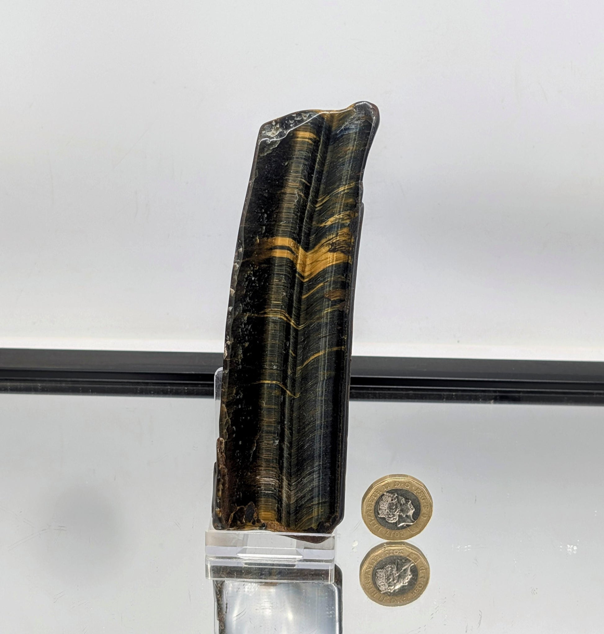 Polished slice of golden Tiger’s Eye with rich banding.