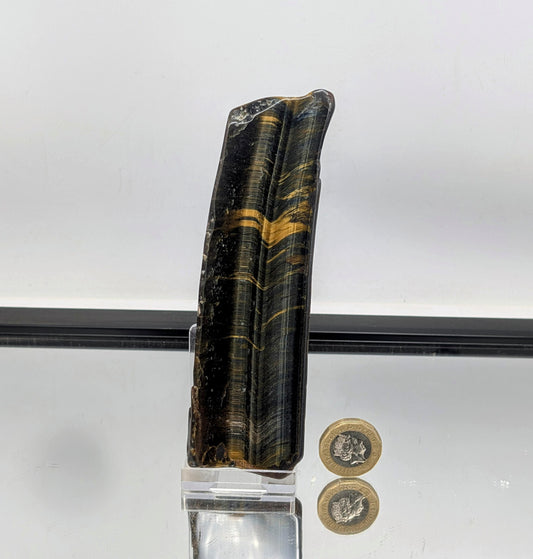 Polished slice of golden Tiger’s Eye with rich banding.