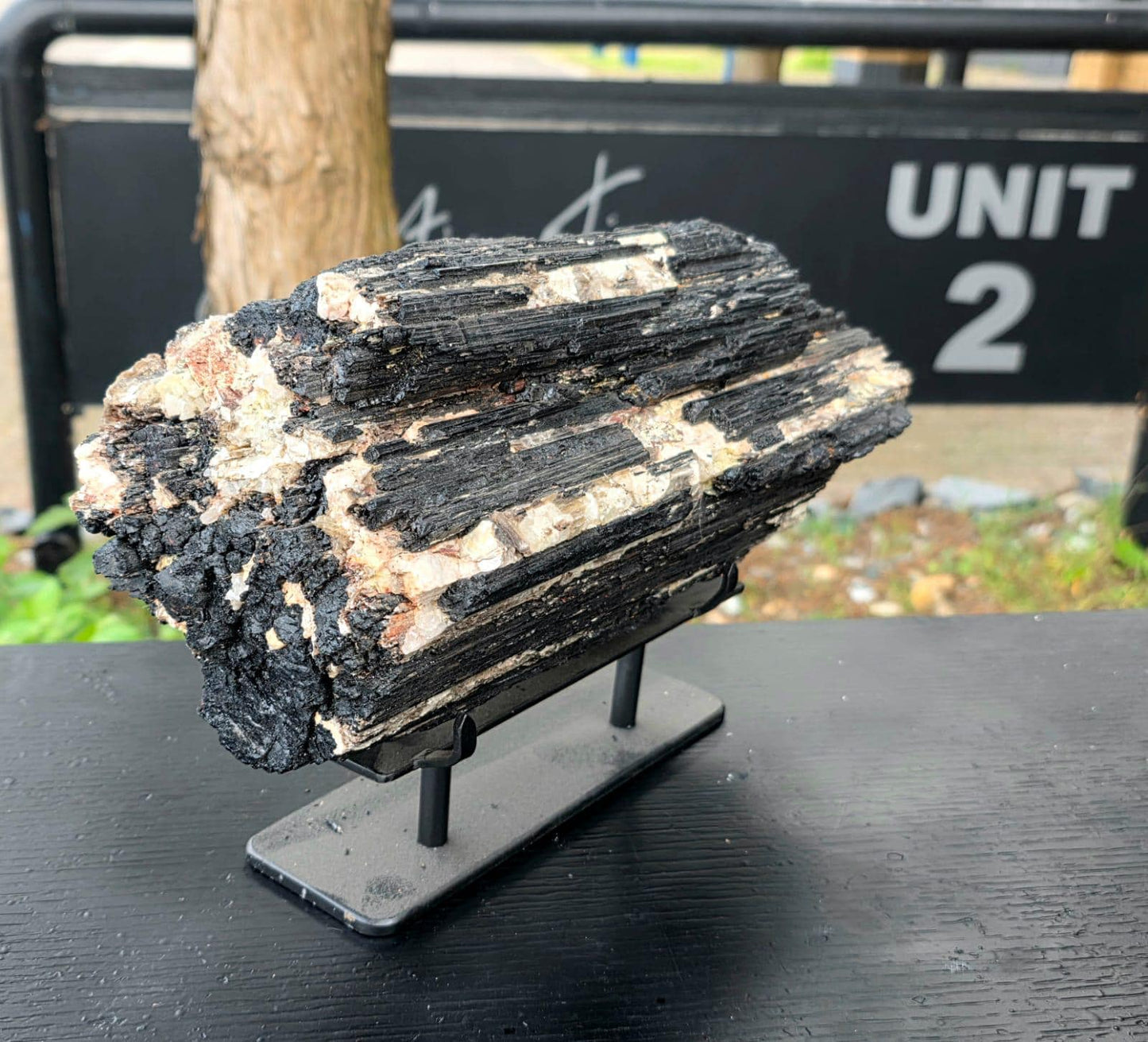 XL black tourmaline collector specimen