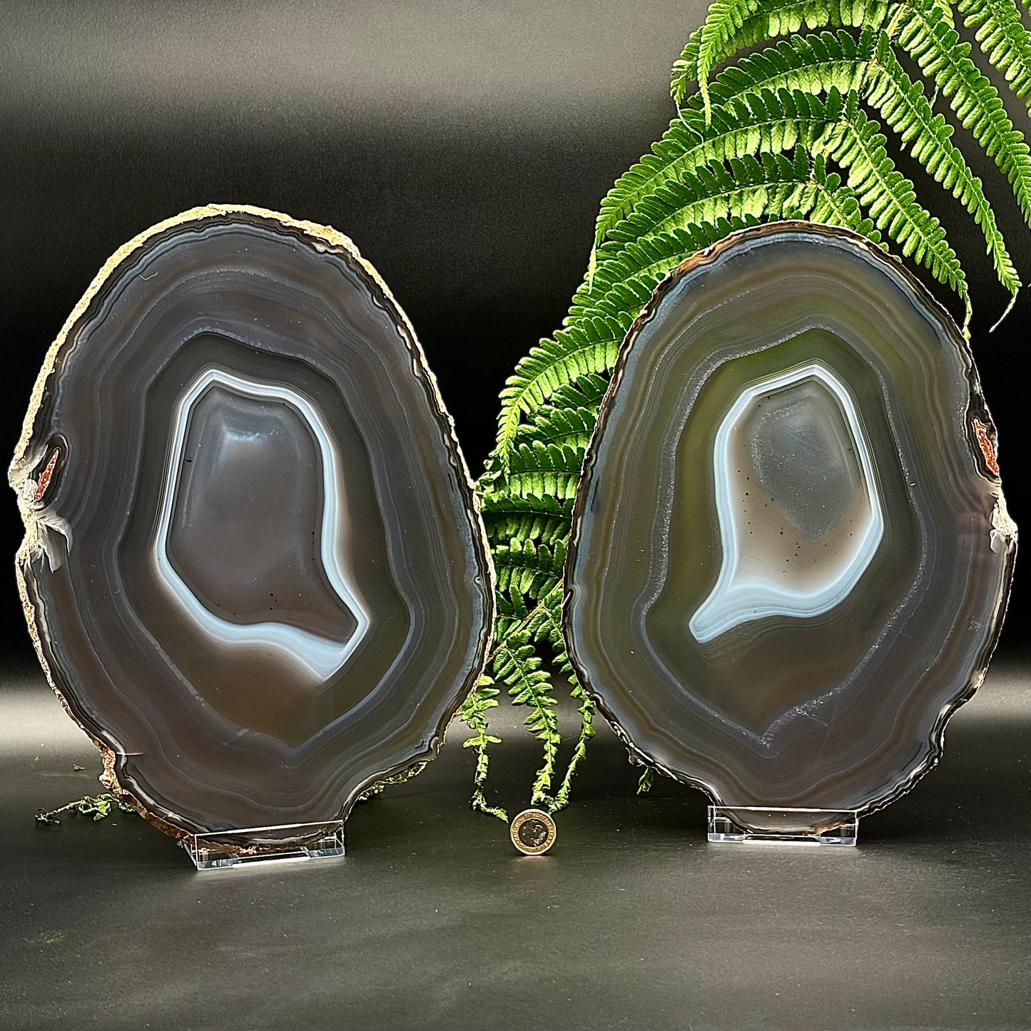 Side-by-side view of two large polished agate slices with smoky grey and white layers.