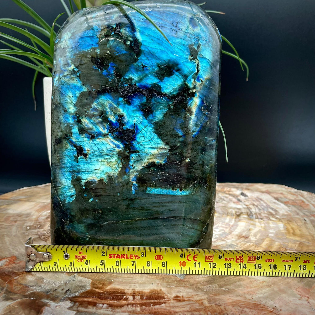 Unique natural Labradorite stone gift