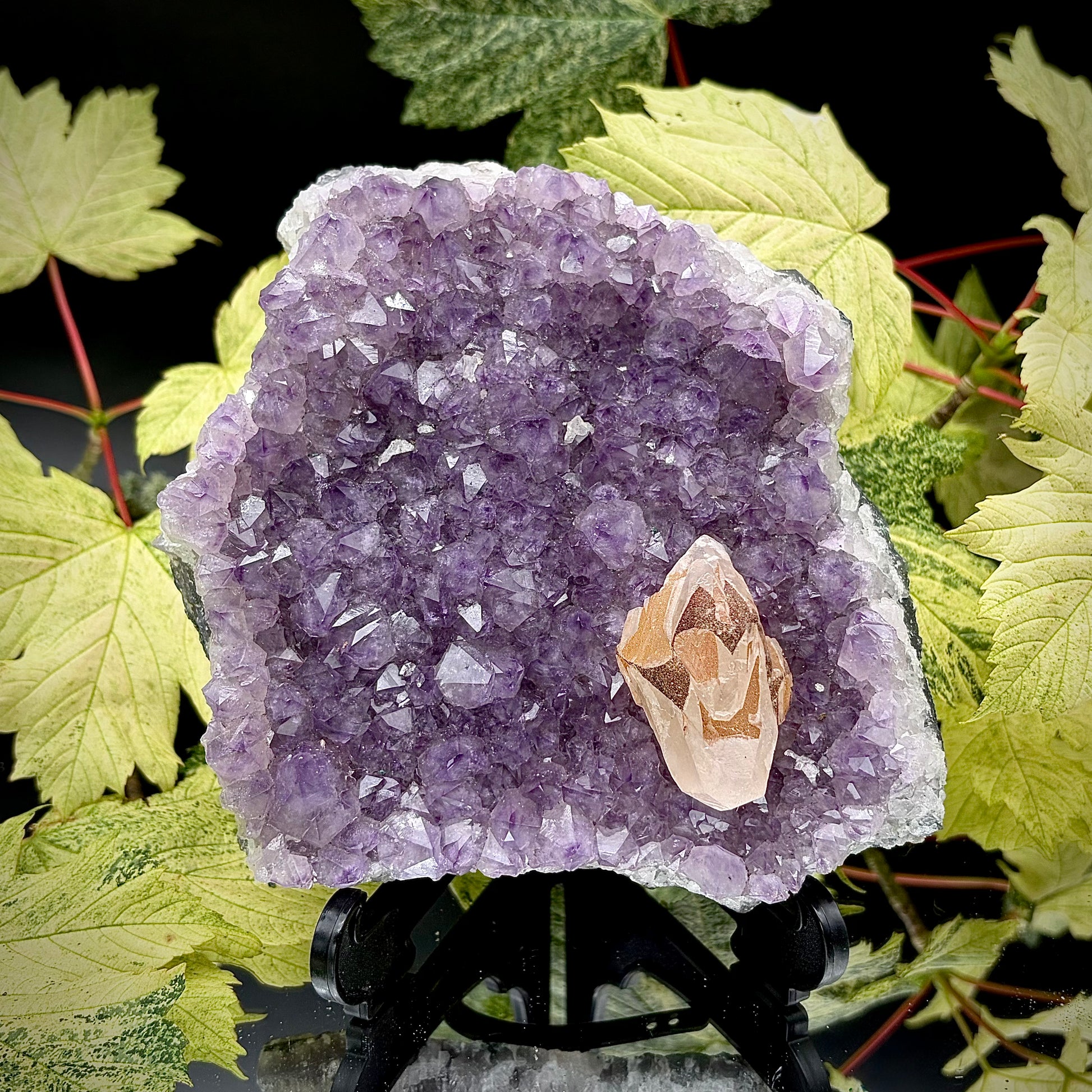 Upright view of natural amethyst crystal cluster with purple crystal points displayed on a reflective surface.
