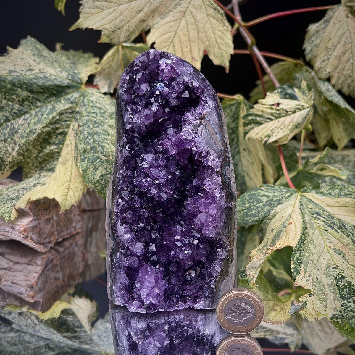 Uruguayan Amethyst freeform mineral for crystal collectors.