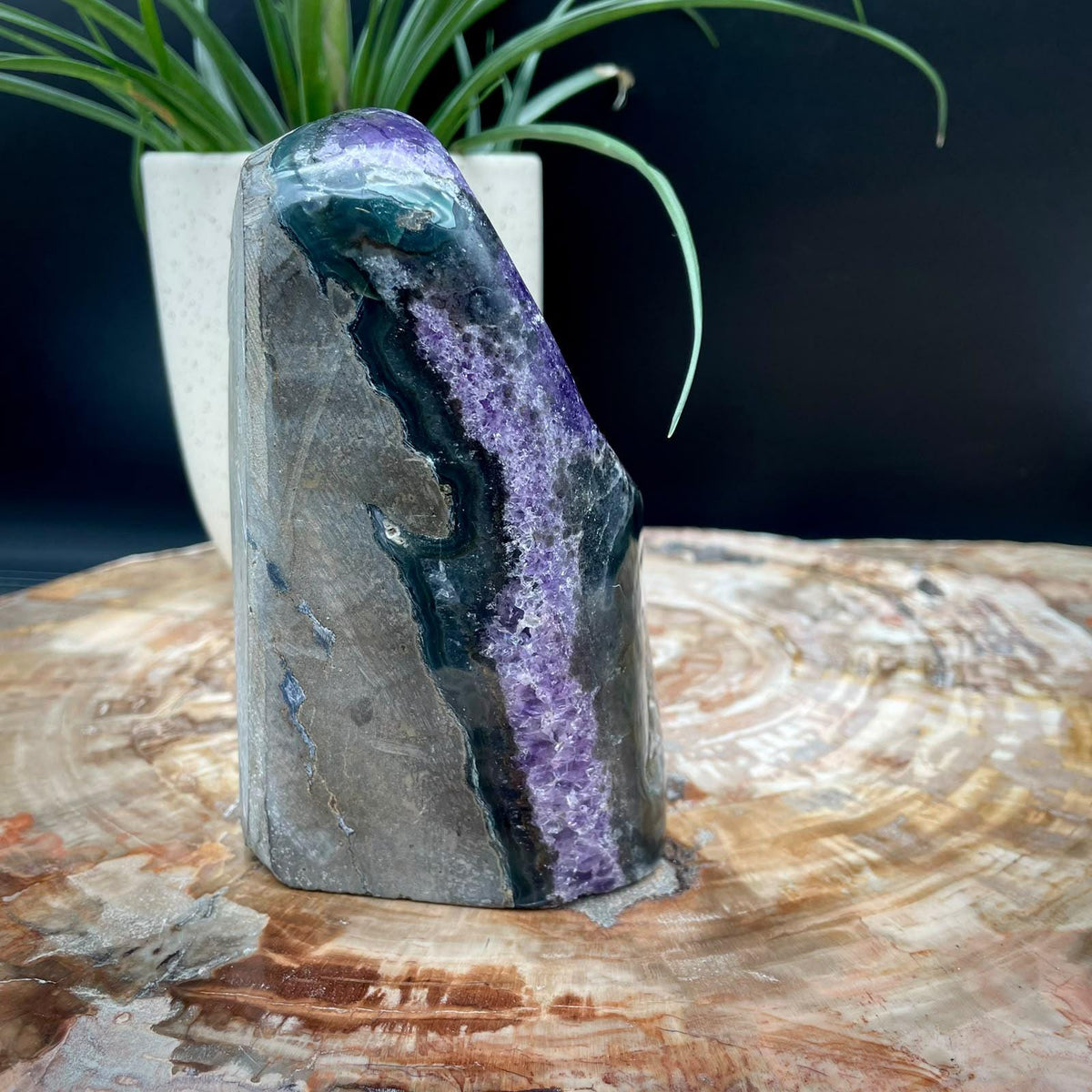 Uruguayan Amethyst crystal specimen for display