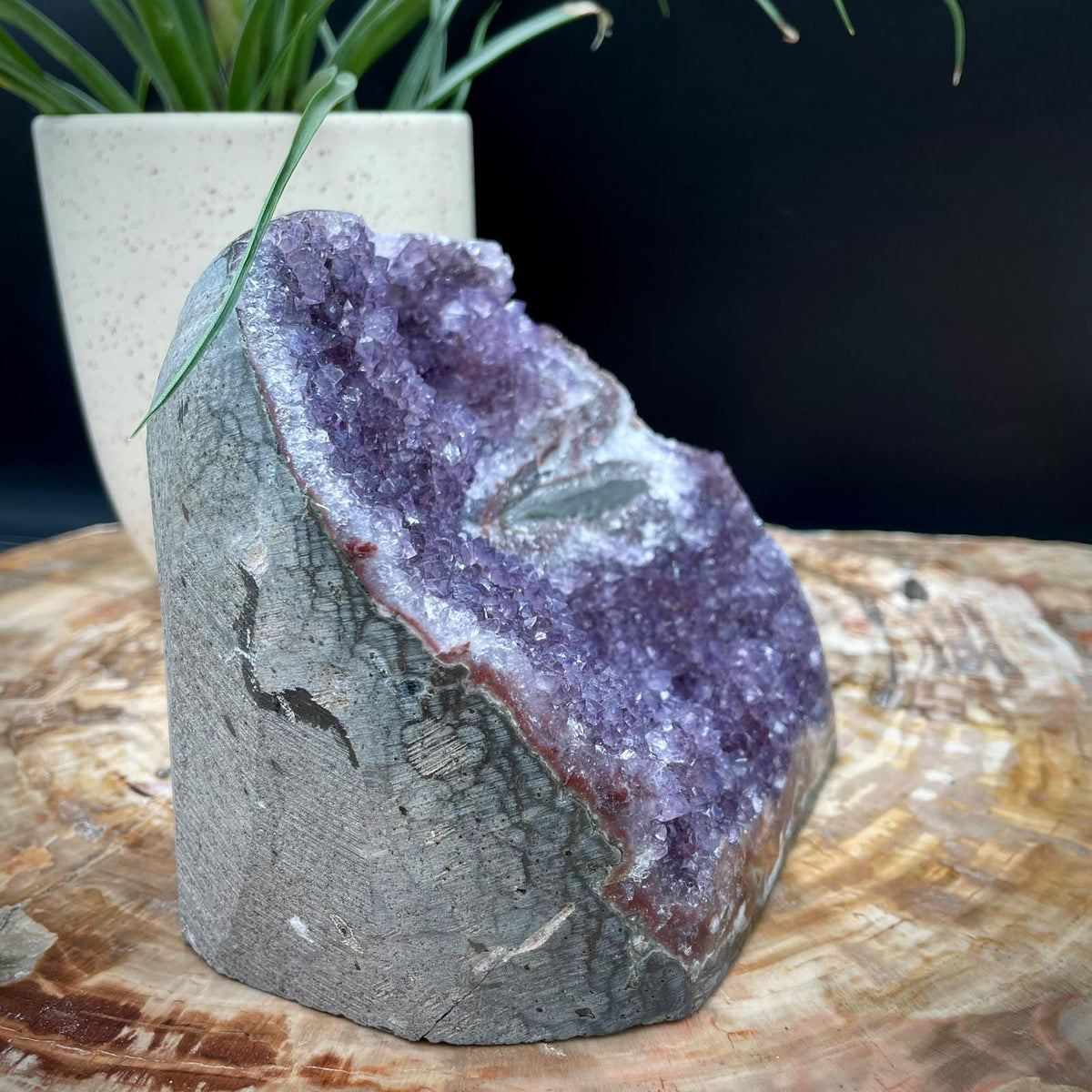Natural Uruguayan Amethyst mineral specimen for collectors