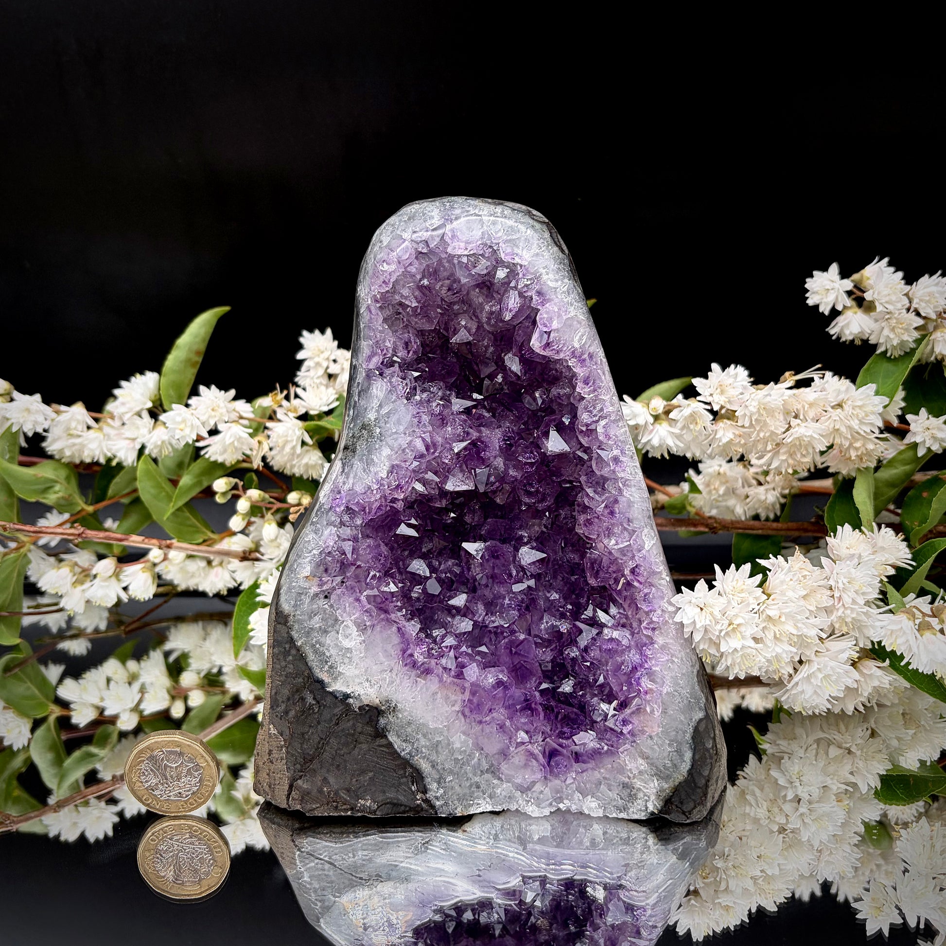 Uruguayan amethyst crystal geode next to a pound coin for scale.