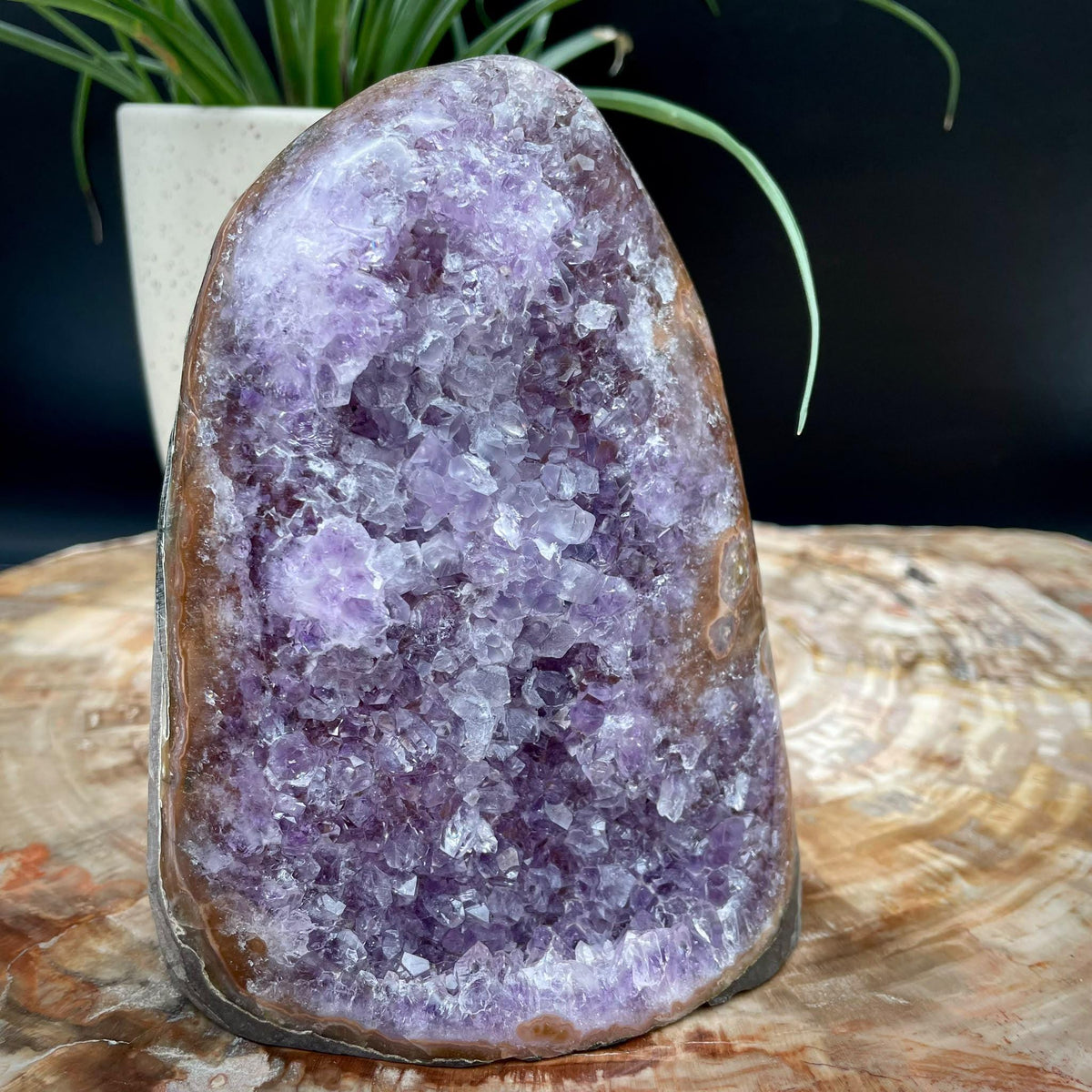 Uruguayan Amethyst cut base crystal gift