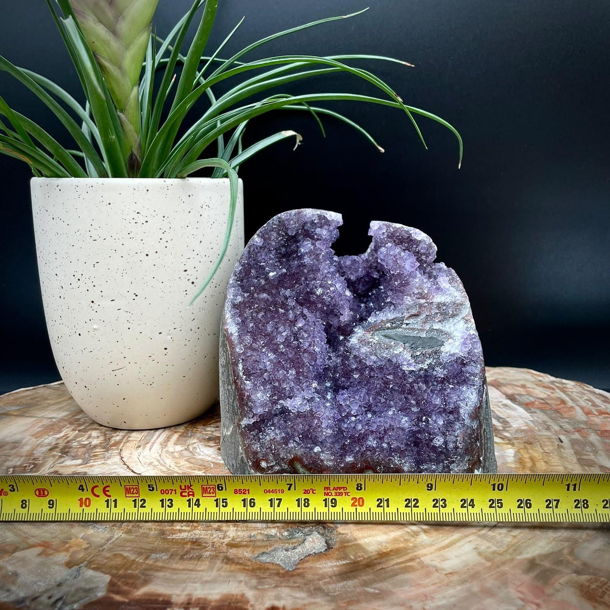 High-grade Uruguayan Amethyst cut base collector specimen