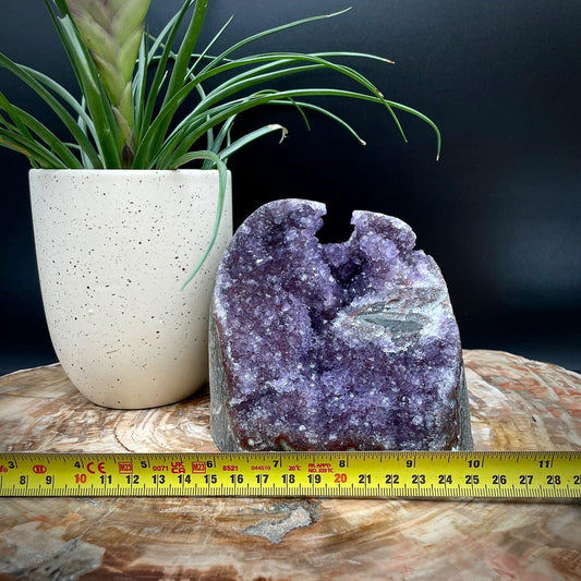High-grade Uruguayan Amethyst cut base collector specimen