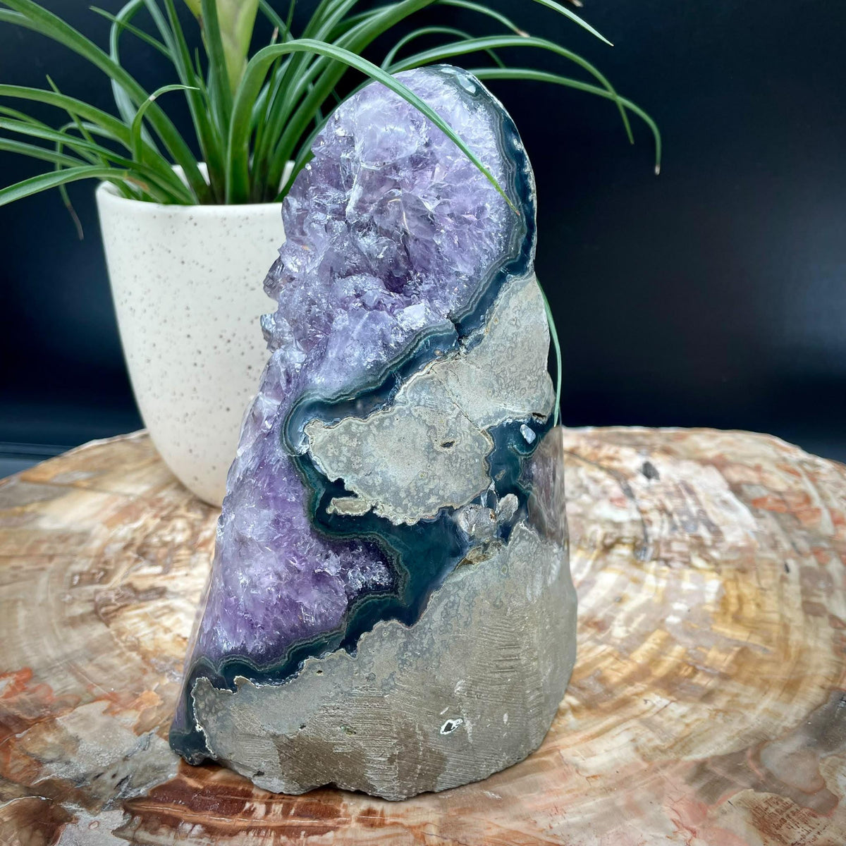 Uruguayan Amethyst cut base for decorative display