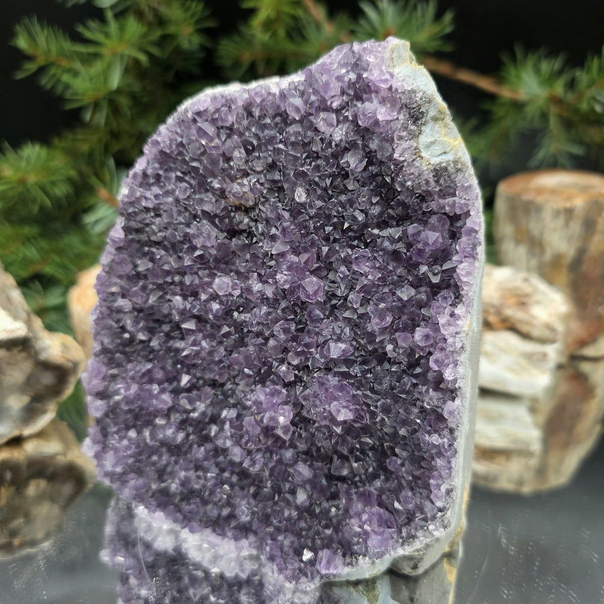 High-grade Uruguayan Amethyst crystal for geological collections.