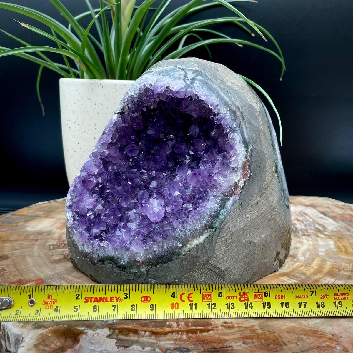 Uruguayan Amethyst cut base statement crystal