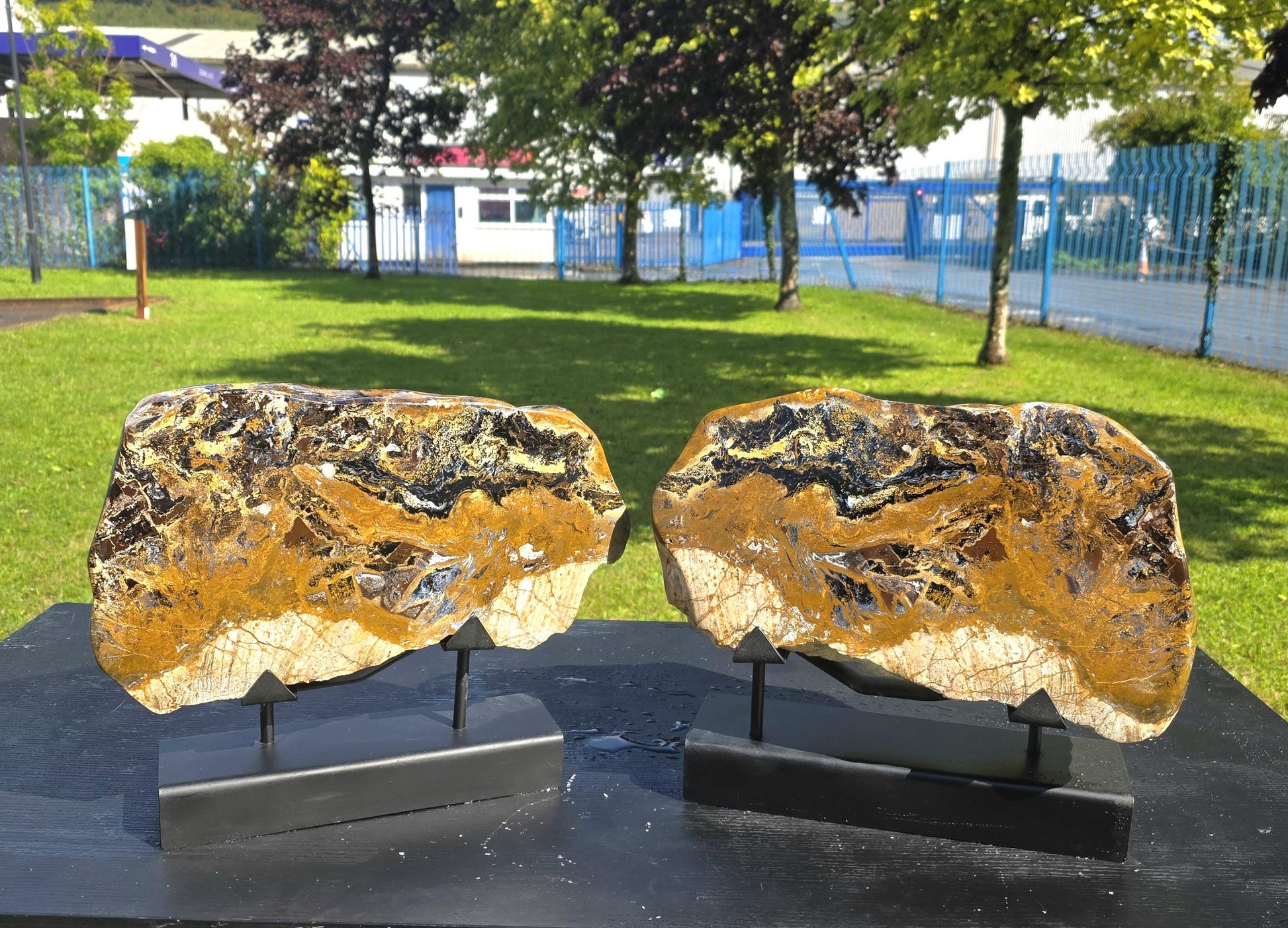 Rare large Pietersite crystal pair custom mounted with polished fronts and natural backs.