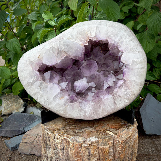 XL Amethyst cluster weighing 20kg with large defined crystal points