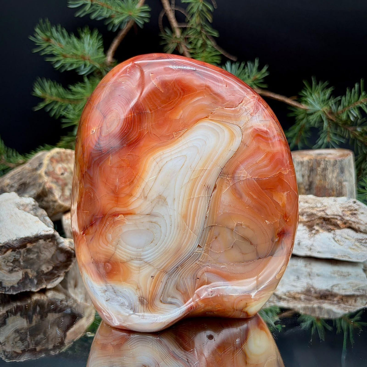 XL Carnelian crystal freeform, a substantial polished natural chalcedony specimen with a distinctive sculptural shape.
