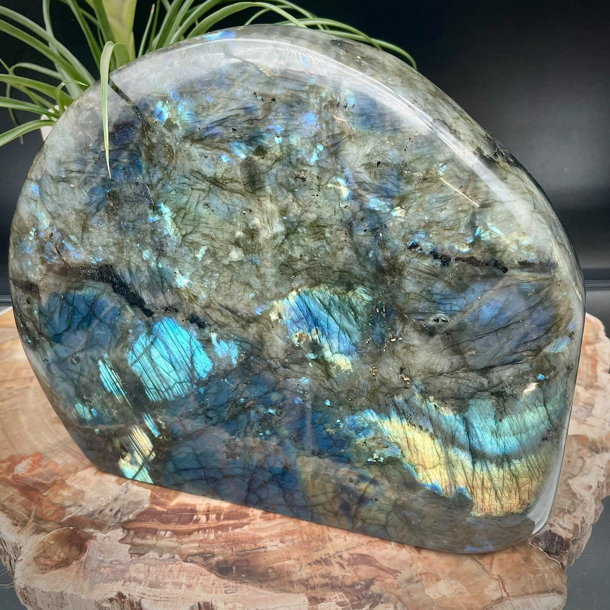 XL Labradorite freeform collector mineral specimen