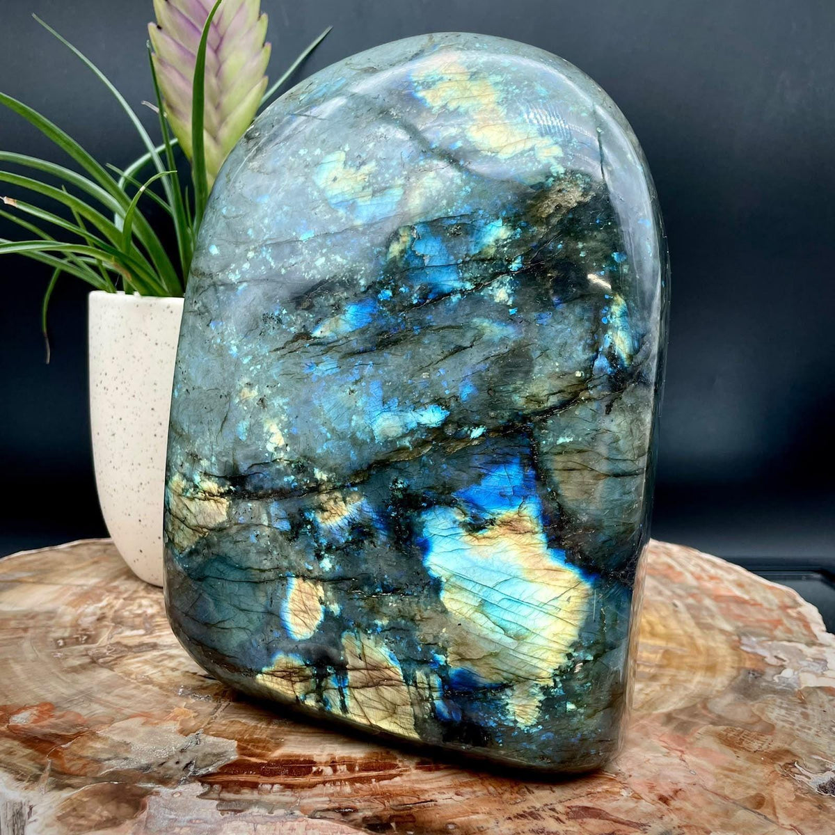 XL Madagascan Labradorite freeform statement piece