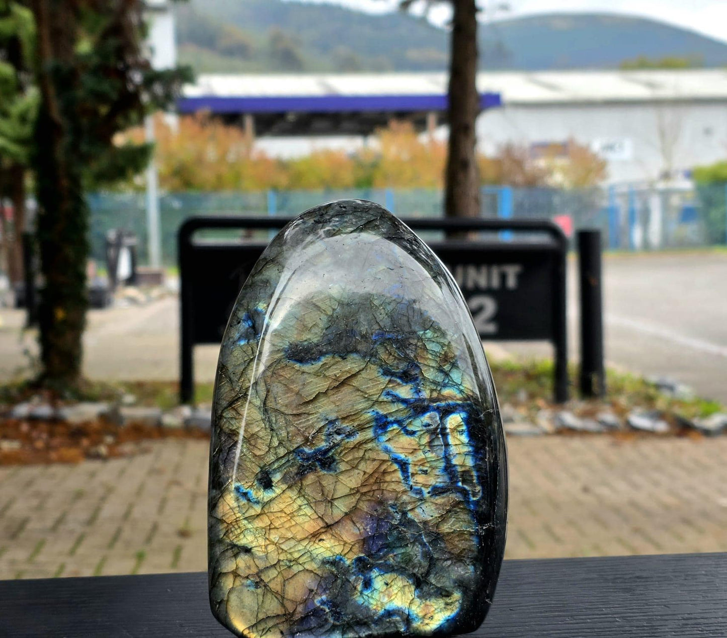 XL polished labradorite front view.