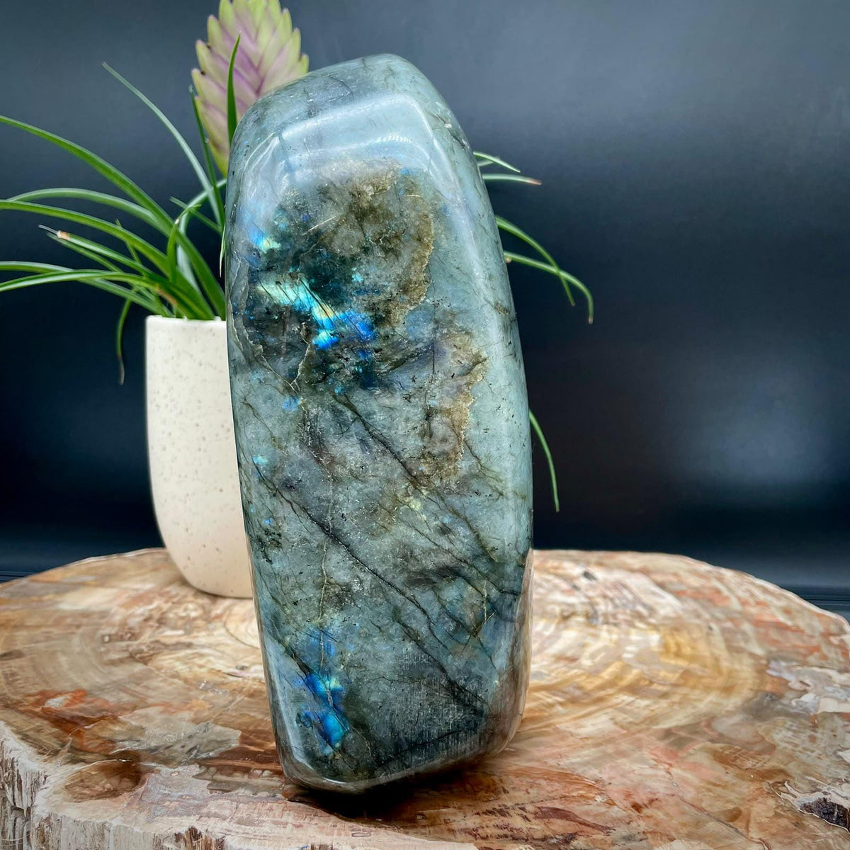 XL Labradorite natural stone decor piece