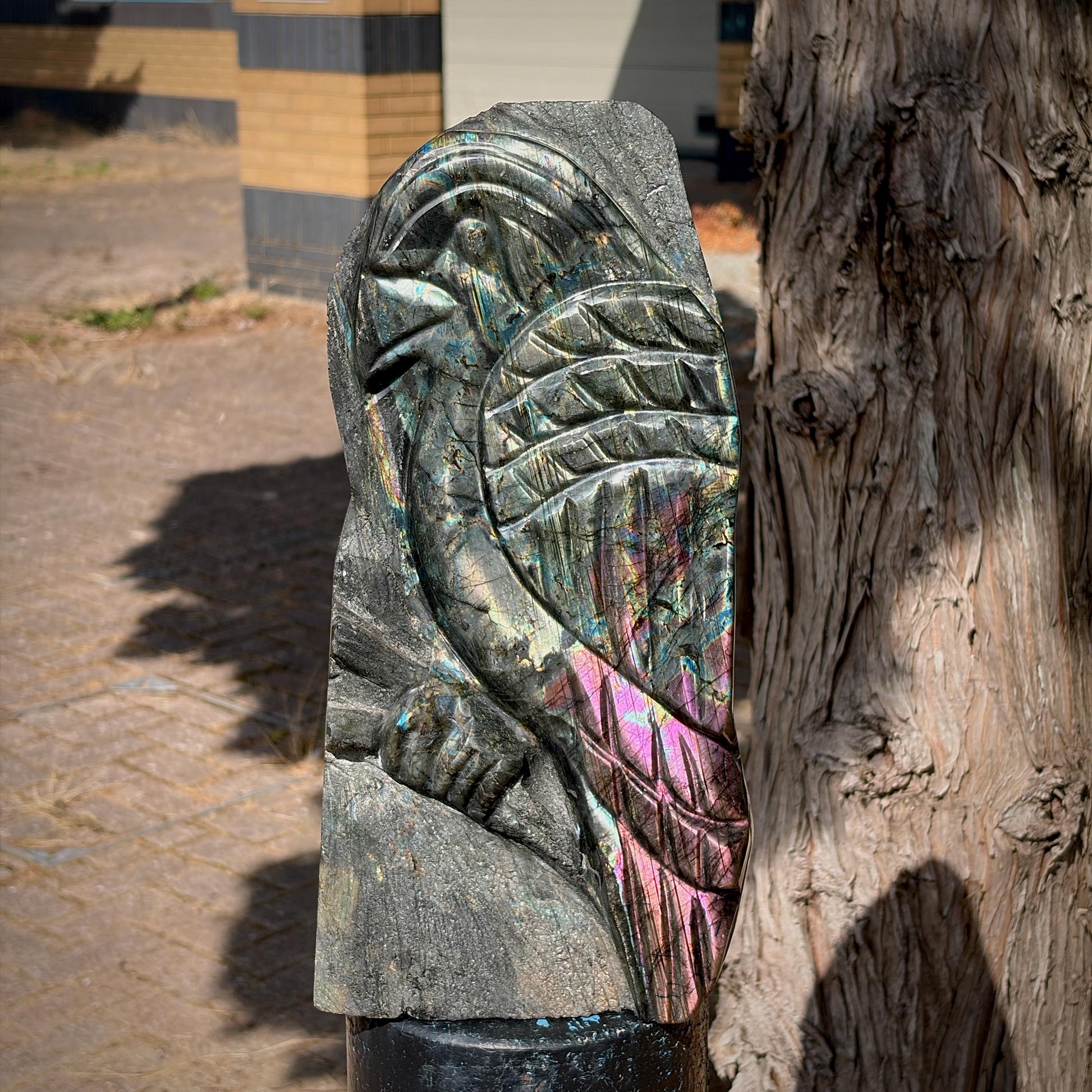Detailed view of the carved feathers on an exceptional quality Labradorite parrot sculpture.
