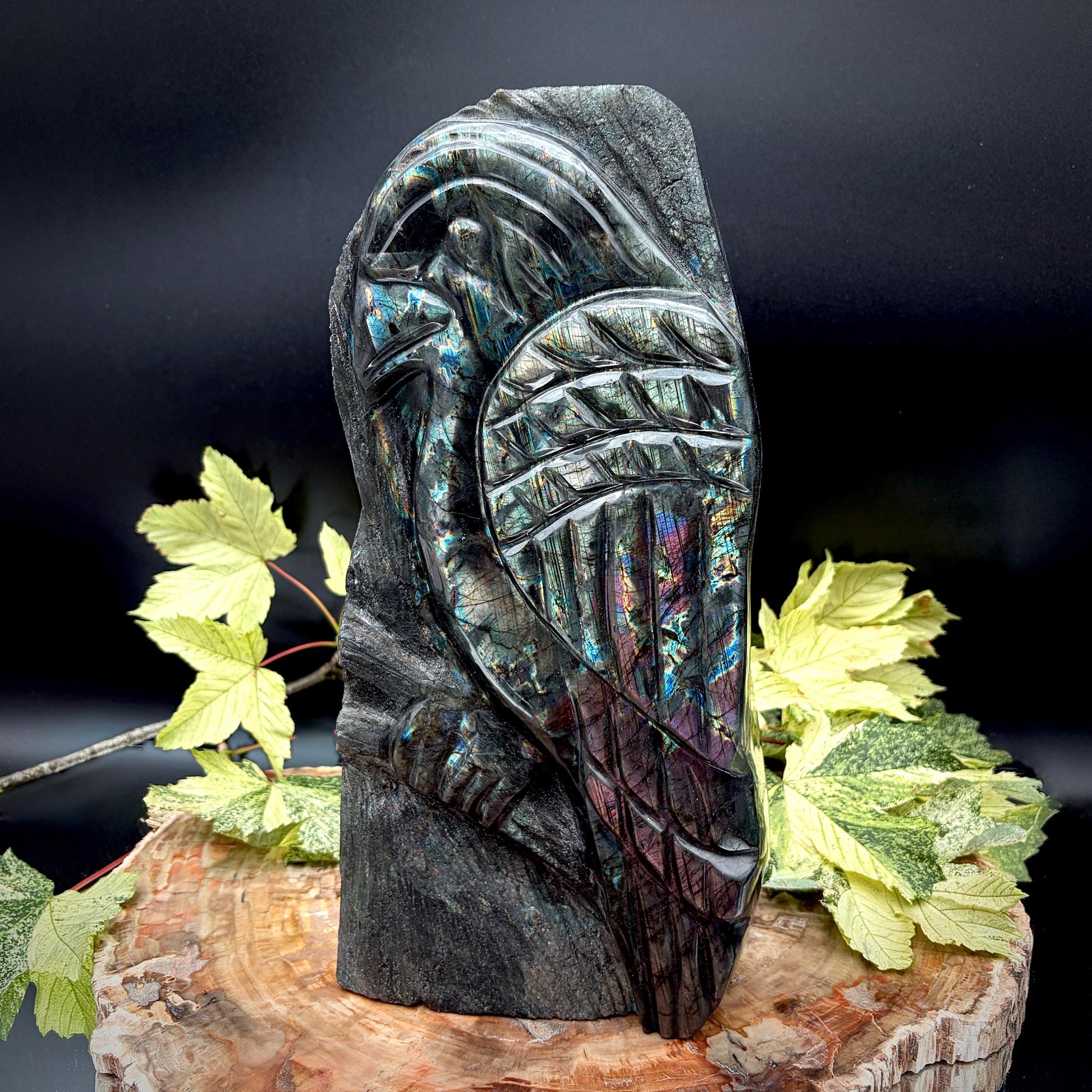Front view of an exceptional grade hand-carved Labradorite parrot sculpture with spectacular rainbow flash from Madagascar.