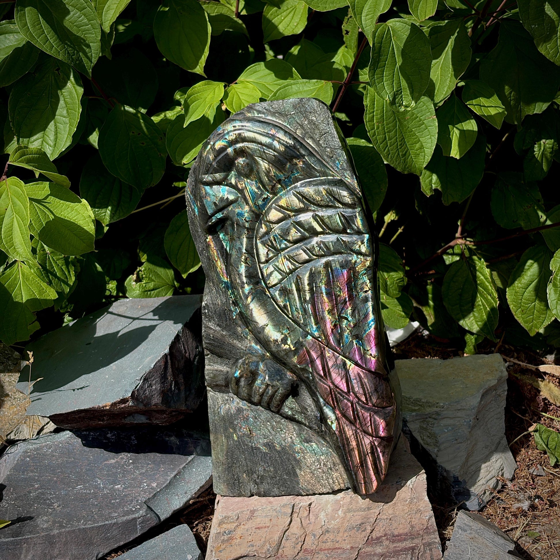 Close-up of the intricately hand-carved Labradorite parrot head with vivid multicoloured flash.
