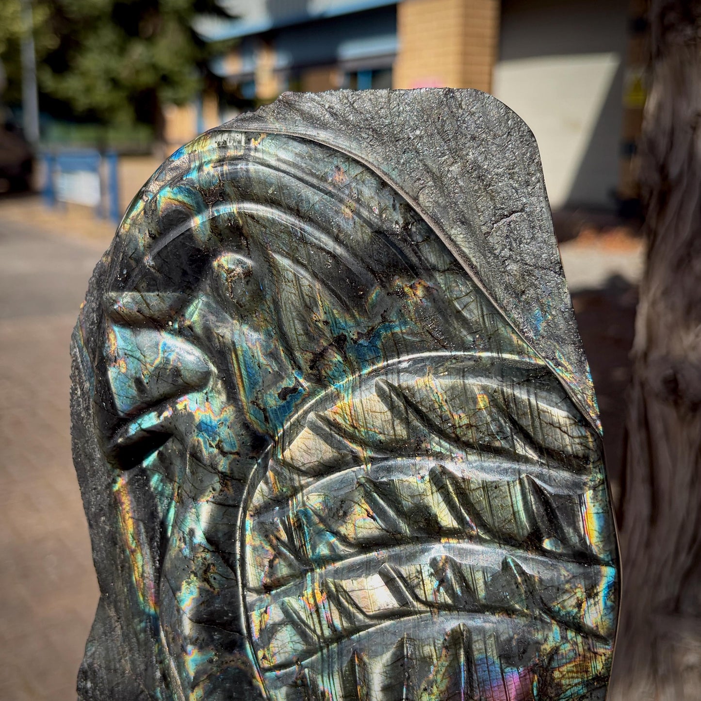 Rainbow flash Labradorite parrot displaying vibrant blue, purple, gold and copper iridescence across the polished surface.