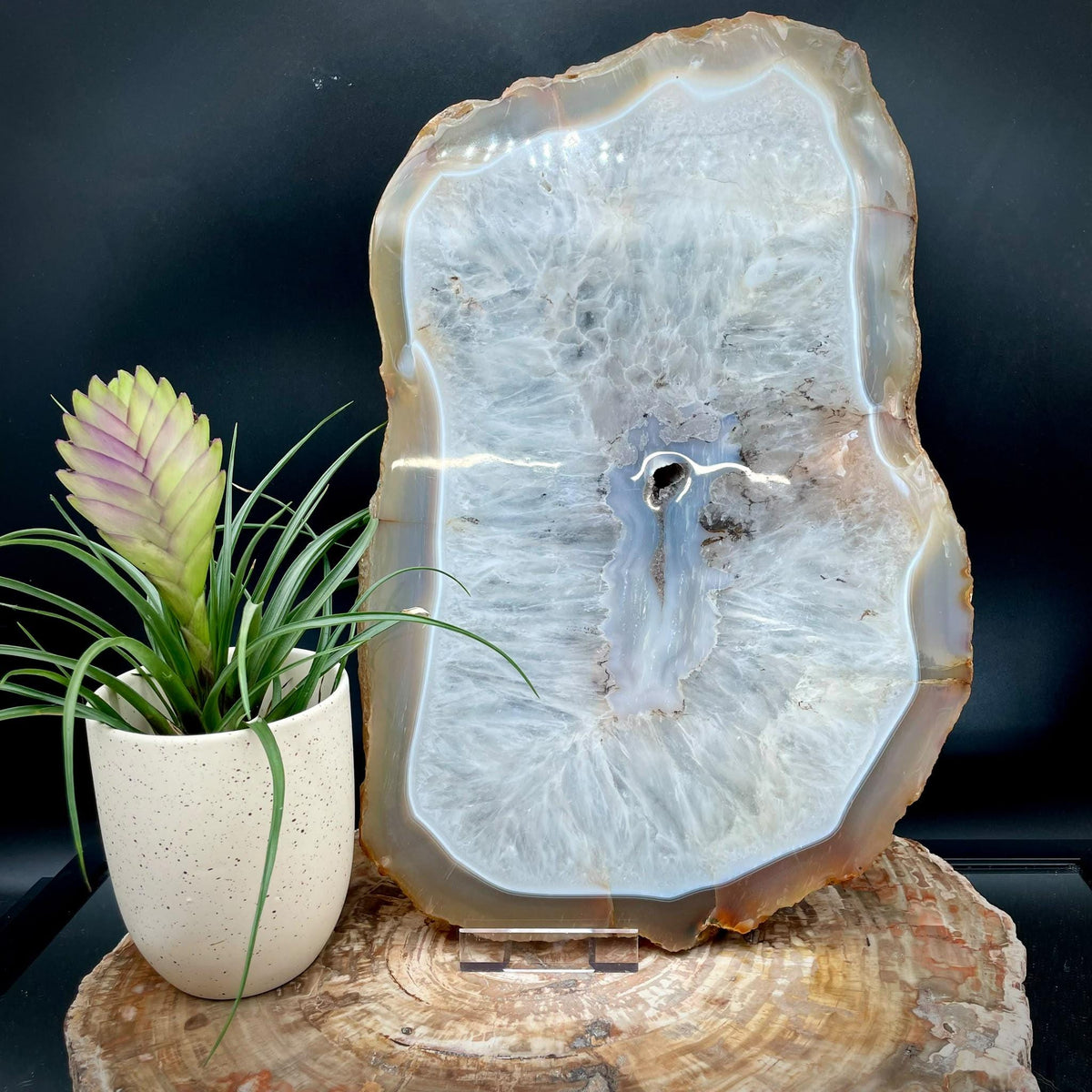 XL natural Agate crystal slice used as a statement table centrepiece
