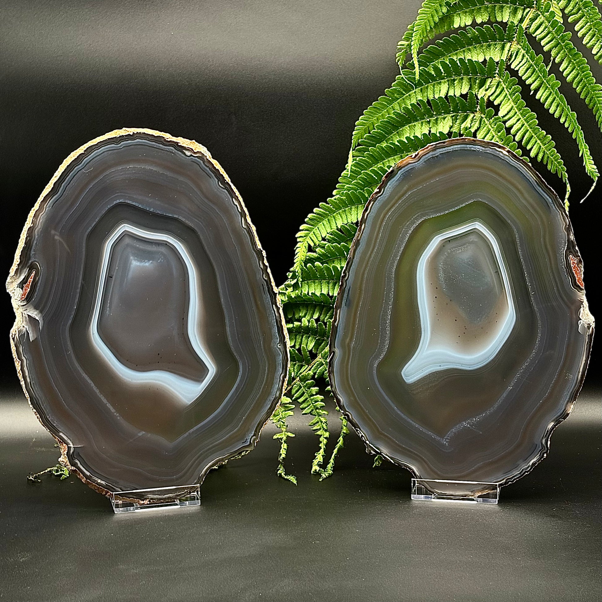 A matching pair of XL, thin natural Brazilian Agate slices showing concentric banding.