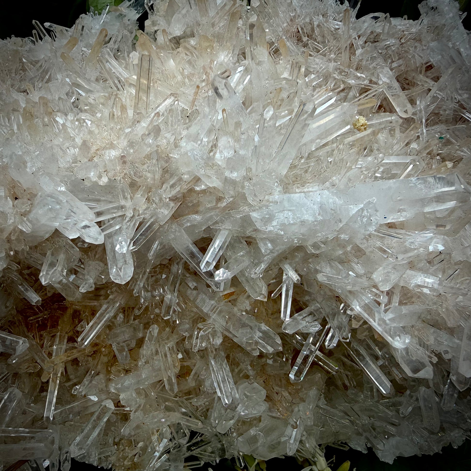 Close-up of the delicate, clear quartz points and crystalline growth on matrix.