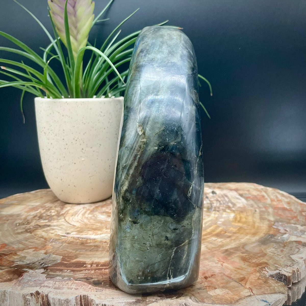 XL polished Labradorite crystal specimen